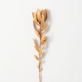29"H Sullivans Subtle Brown Protea Spray, Brown