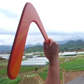 Boomerang toy flying