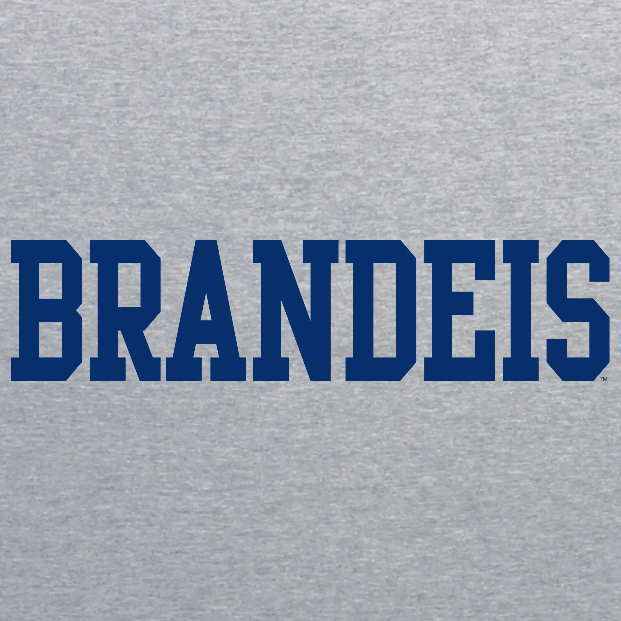 Brandeis Judges Basic Block T Shirt - Sport Grey