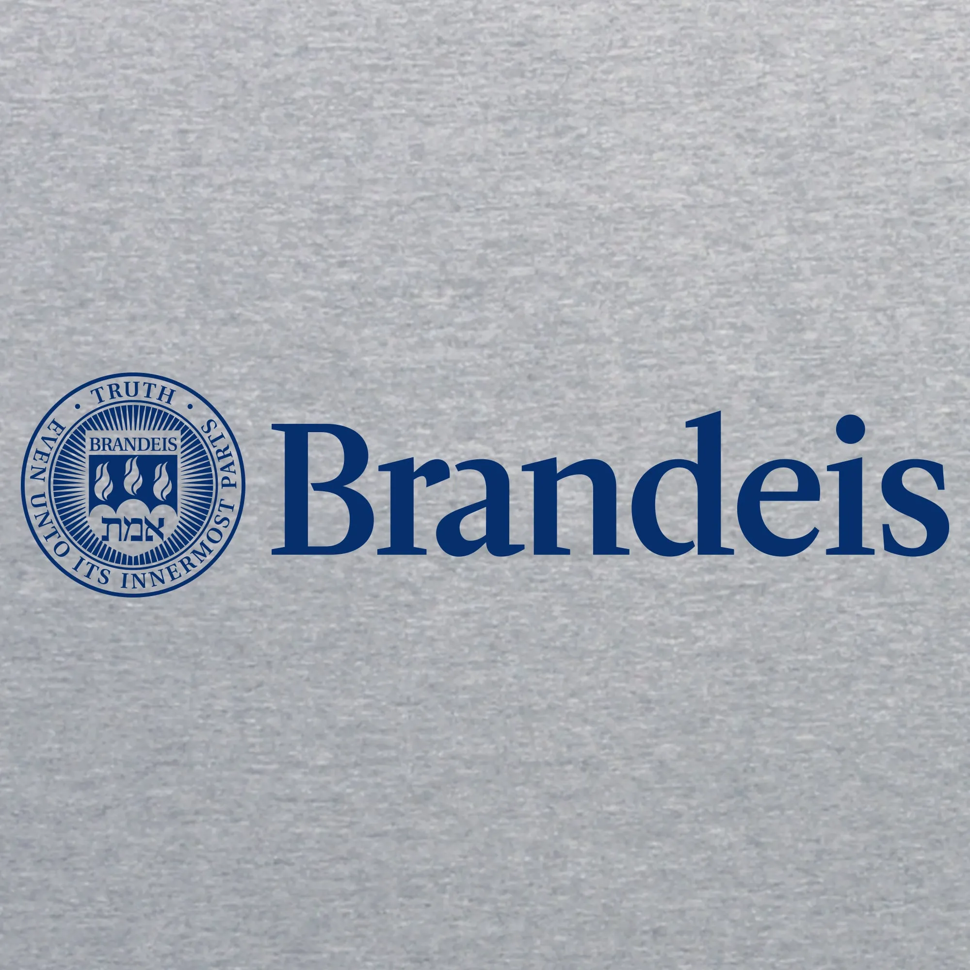 Brandeis Judges Institutional Logo T Shirt - Sport Grey