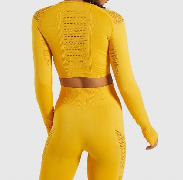 Women Seamless Yoga Sets High Waist Gym Mesh Leggings Shirts Suit Long Sleeve Fitness Workout Sports Running Thin Yoga Sets