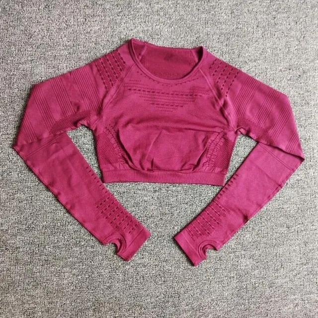 Women Seamless Yoga Sets High Waist Gym Mesh Leggings Shirts Suit Long Sleeve Fitness Workout Sports Running Thin Yoga Sets