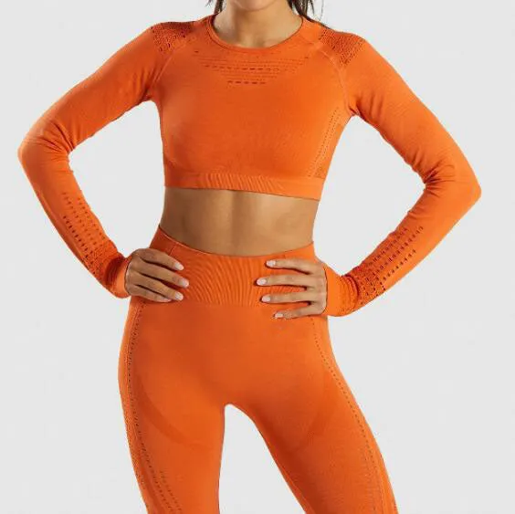 Women Seamless Yoga Sets High Waist Gym Mesh Leggings Shirts Suit Long Sleeve Fitness Workout Sports Running Thin Yoga Sets